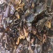 Μαύρο μανιτάρι | Black mushroom