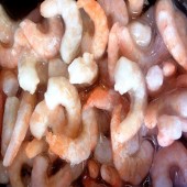 Γαρίδες | Shrimps